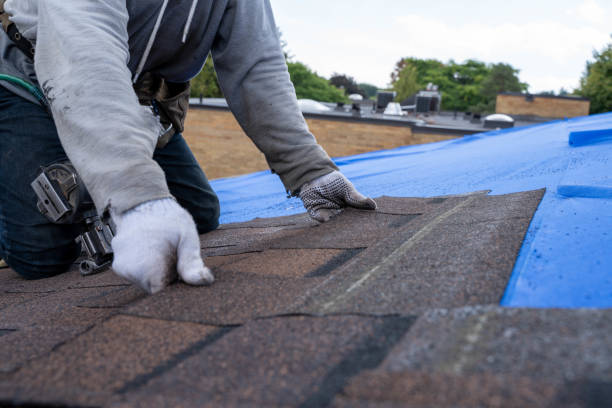 Best Flat Roof Repair Services  in Breese, IL