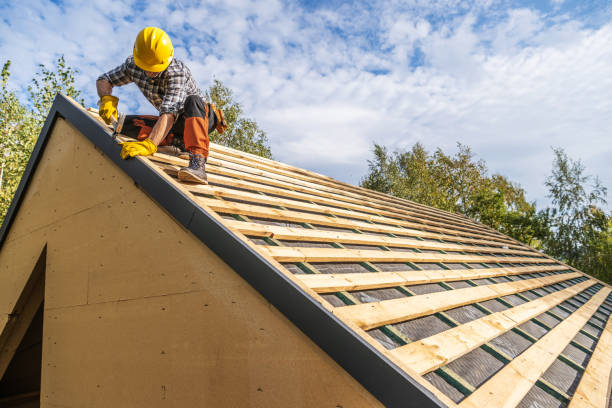 Best Roof Gutter Cleaning  in Breese, IL